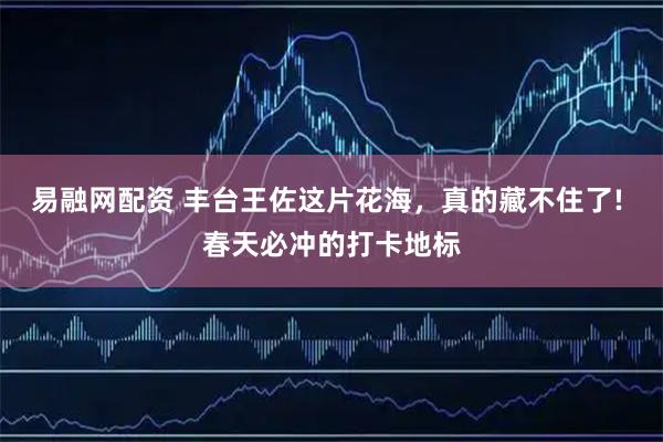 易融网配资 丰台王佐这片花海，真的藏不住了! 春天必冲的打卡地标