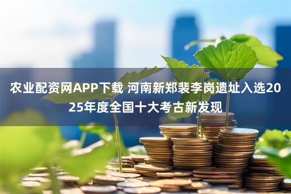 农业配资网APP下载 河南新郑裴李岗遗址入选2025年度全国十大考古新发现