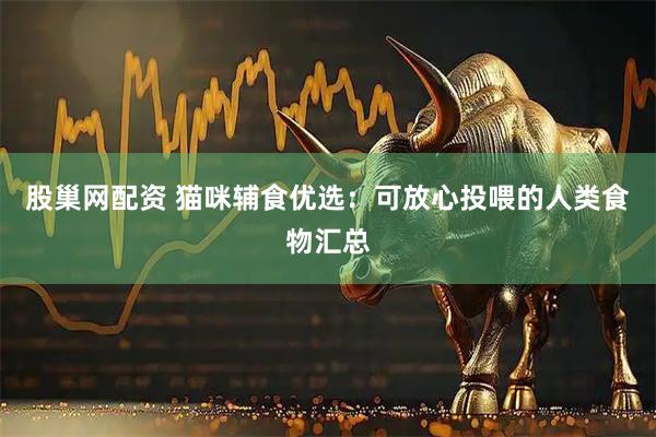 股巢网配资 猫咪辅食优选：可放心投喂的人类食物汇总