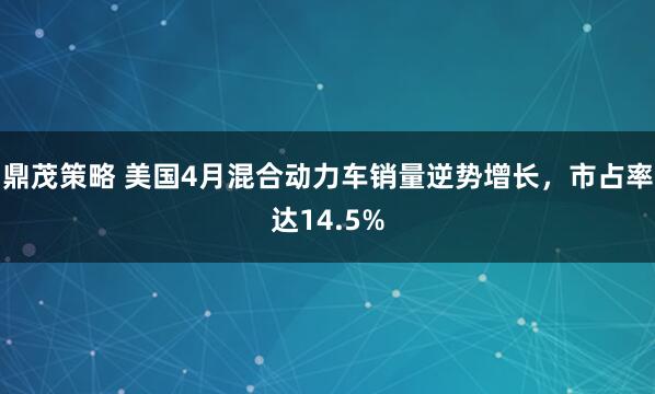 鼎茂策略 美国4月混合动力车销量逆势增长，市占率达14.5%